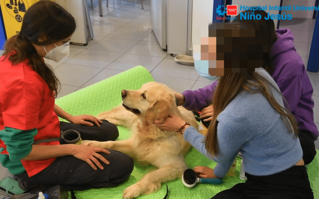 Una novela gráfica y terapias con perros para superar los Trastornos de la Conducta Alimentaria