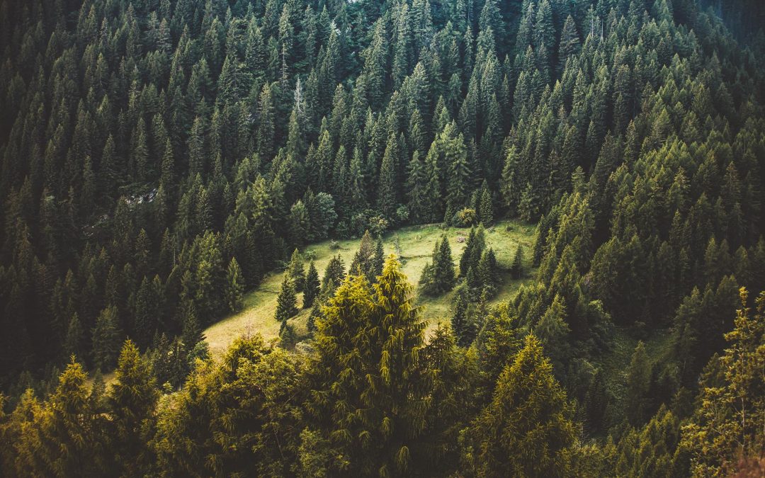 El estilo de vida saludable es un complemento en la lucha contra el cáncer